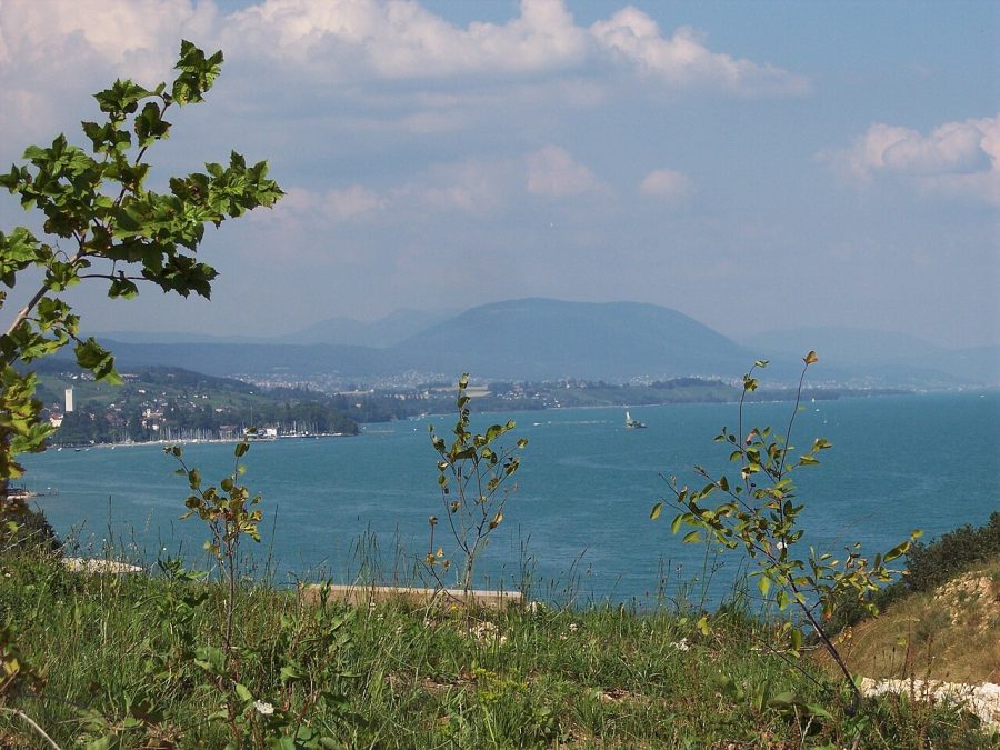 Le lac de Neuchâtel et la rive du Littoral en été, vus depuis les hauteurs de Chaumont
